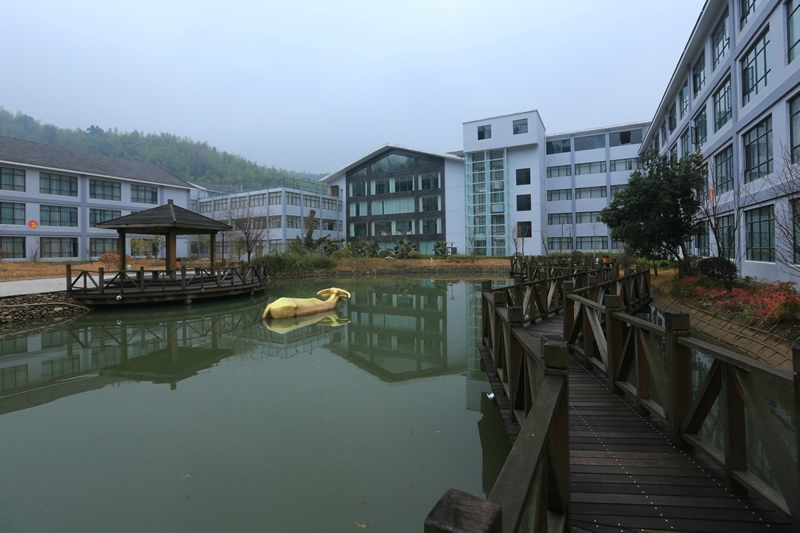 大觉山法水温泉度假村-酒店景观