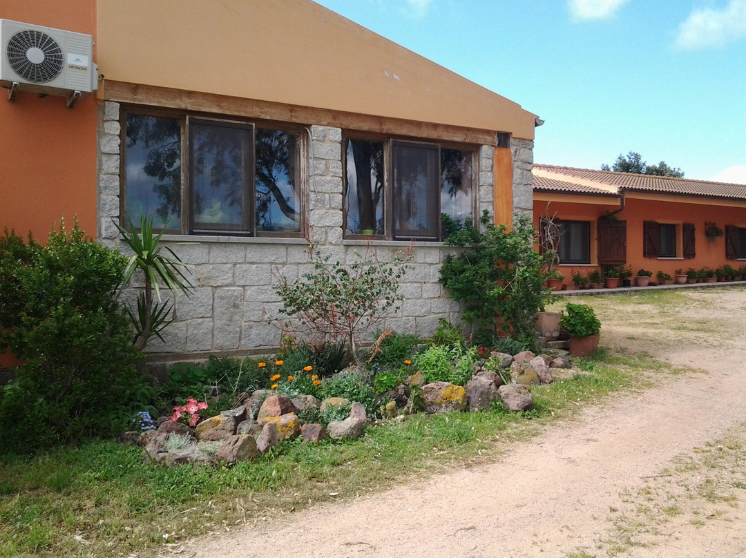 Perfugas餐馆和美食-Agriturismo Spinalva