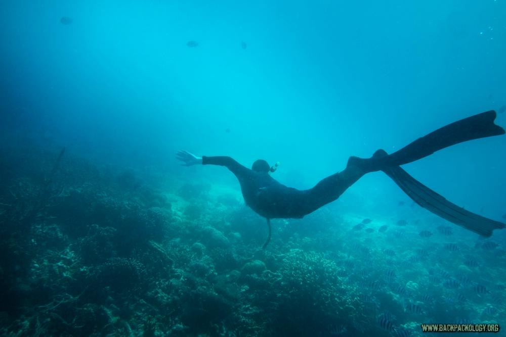 Just One Breath Freediving-科隆必去景点