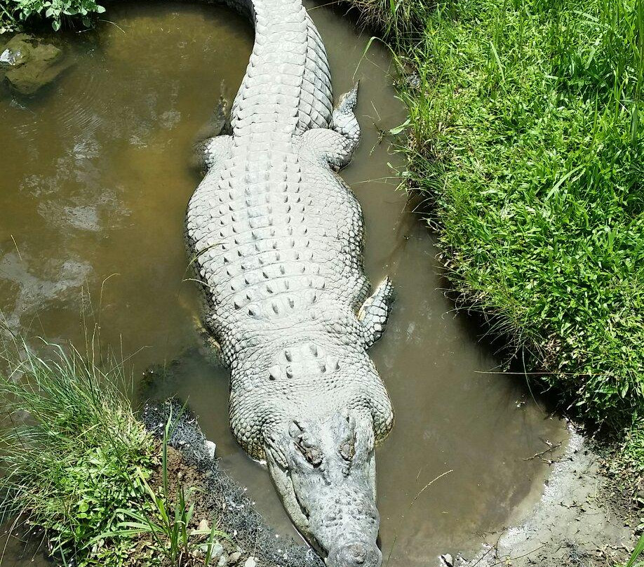 David Fleay Wildlife Park-West Burleigh必去景点