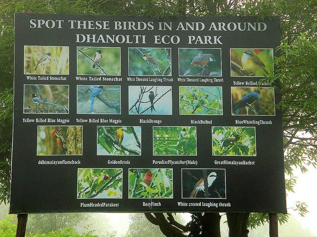 Lemon Holidays-新德里必去景点