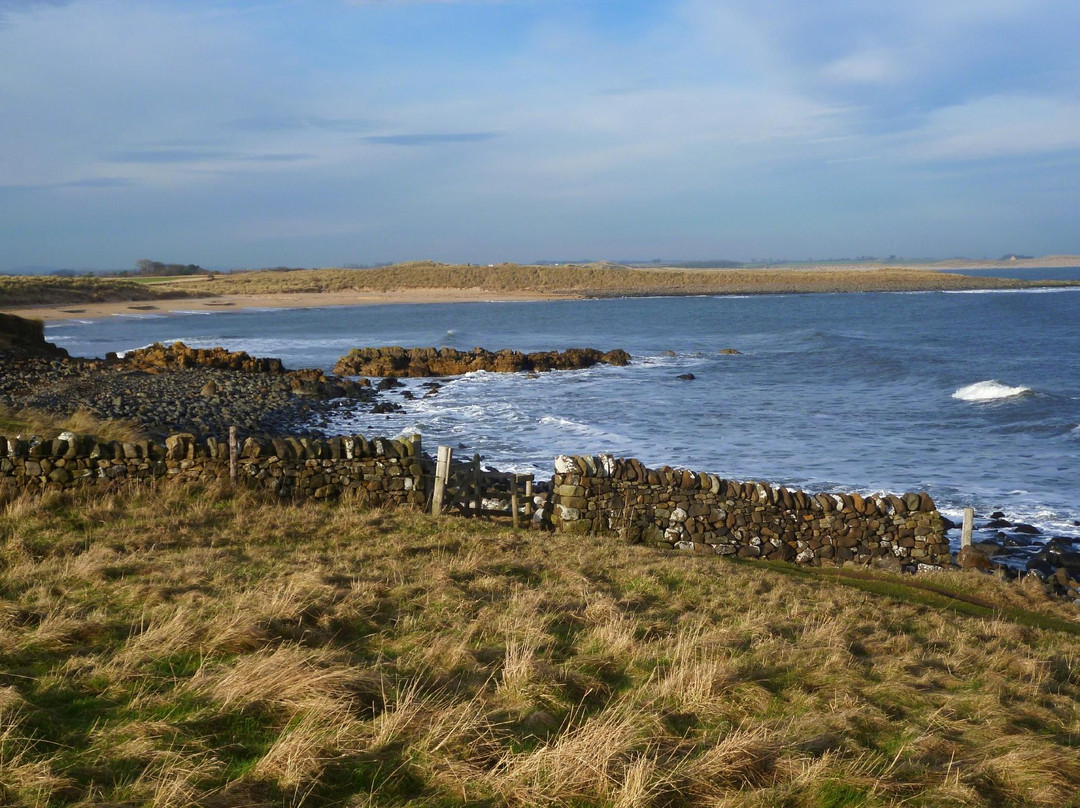 Footsteps - Walking the beauty of Northumberland景点图片