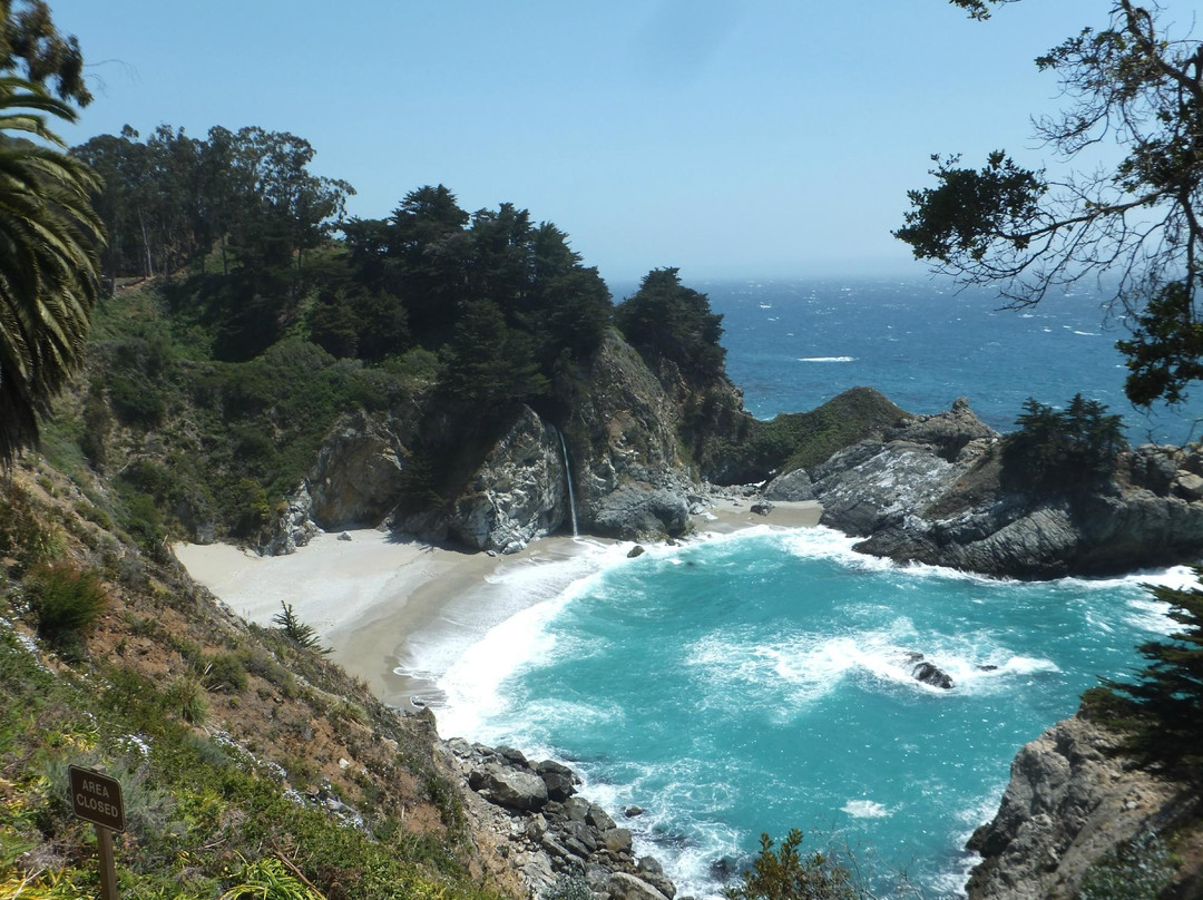 朱莉娅·菲佛·伯恩斯州立公园-大苏尔必去景点