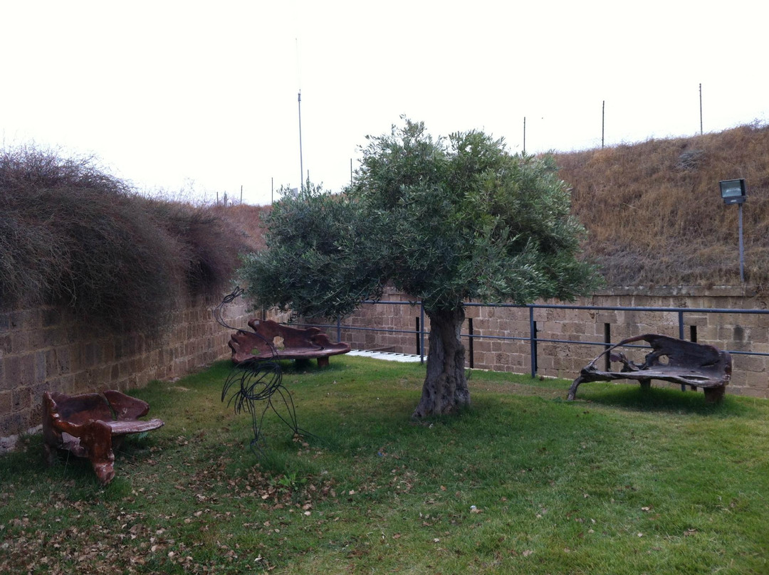 Ethnographic Museum Treasures in the Walls-阿克必去景点