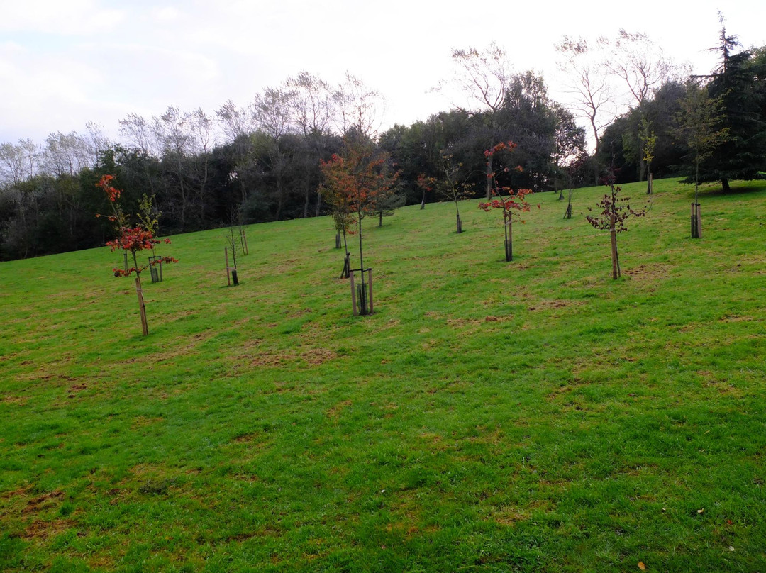 Brackmills Woods Country Park景点图片
