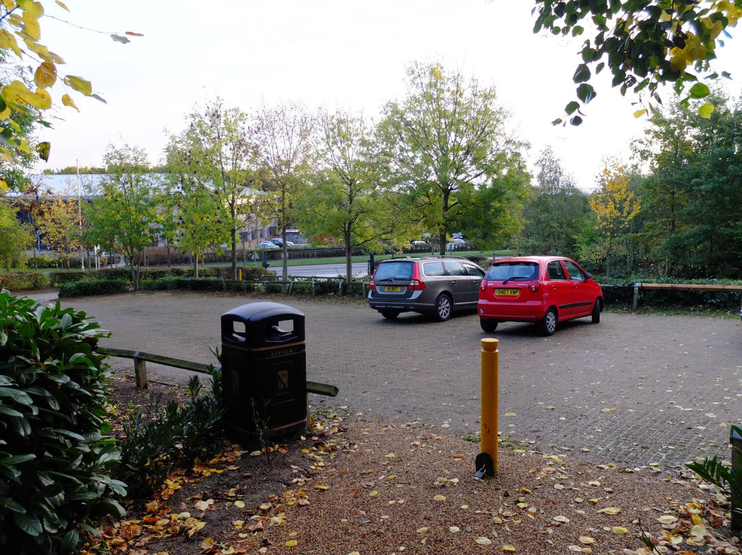 Brackmills Woods Country Park景点图片