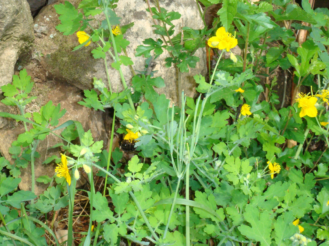 密云九龙十八潭-北京市必去景点