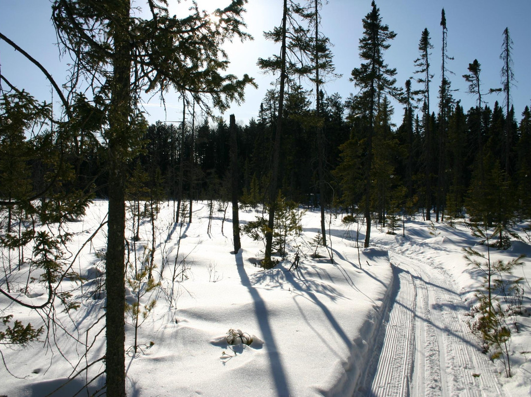 Flathorn - Gegoka Cross Country Ski Trails-Isabella必去景点