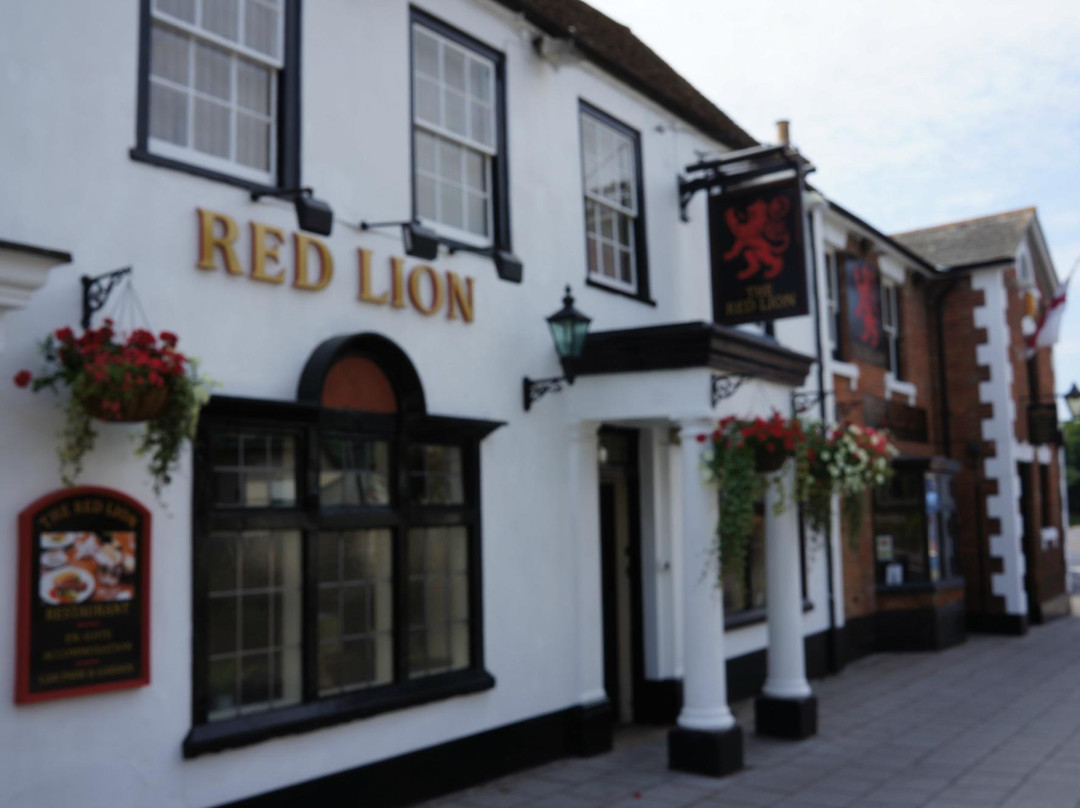 Milford on Sea酒店住宿-The red lion