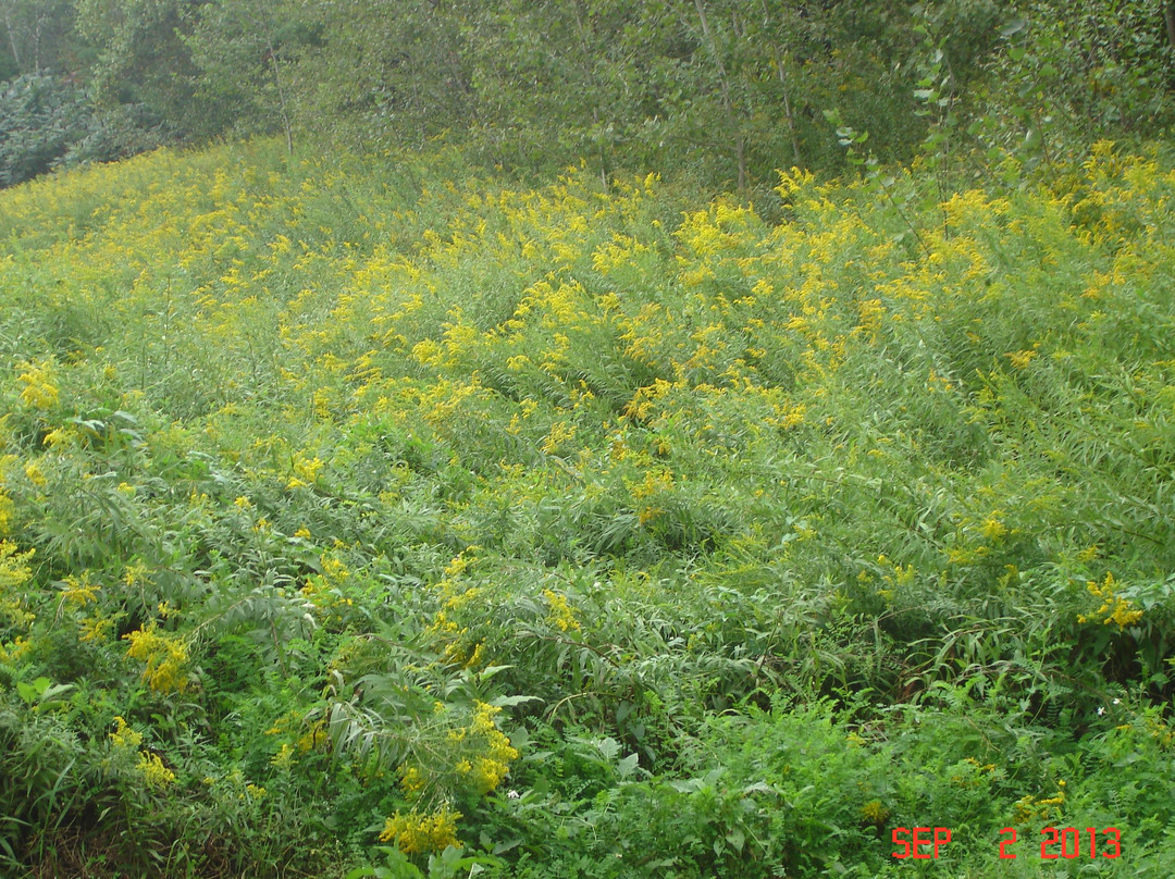Callahan State Park-弗雷明汉必去景点
