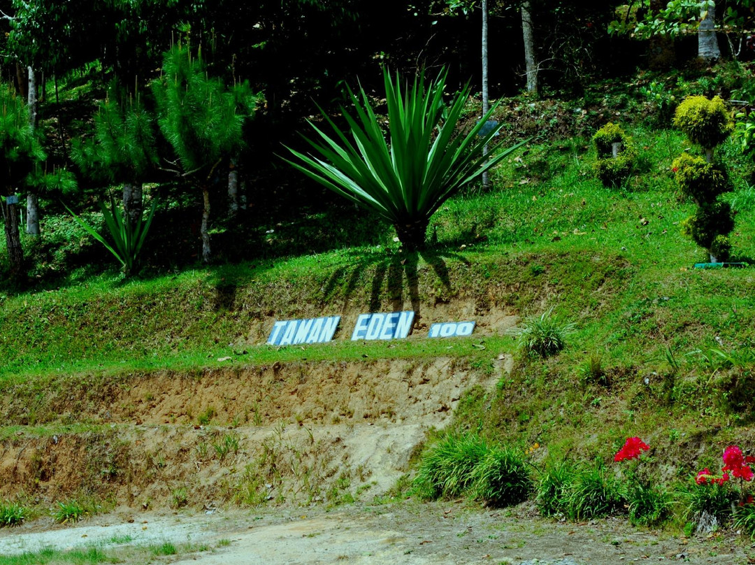 Taman Eden 100-Parapat必去景点