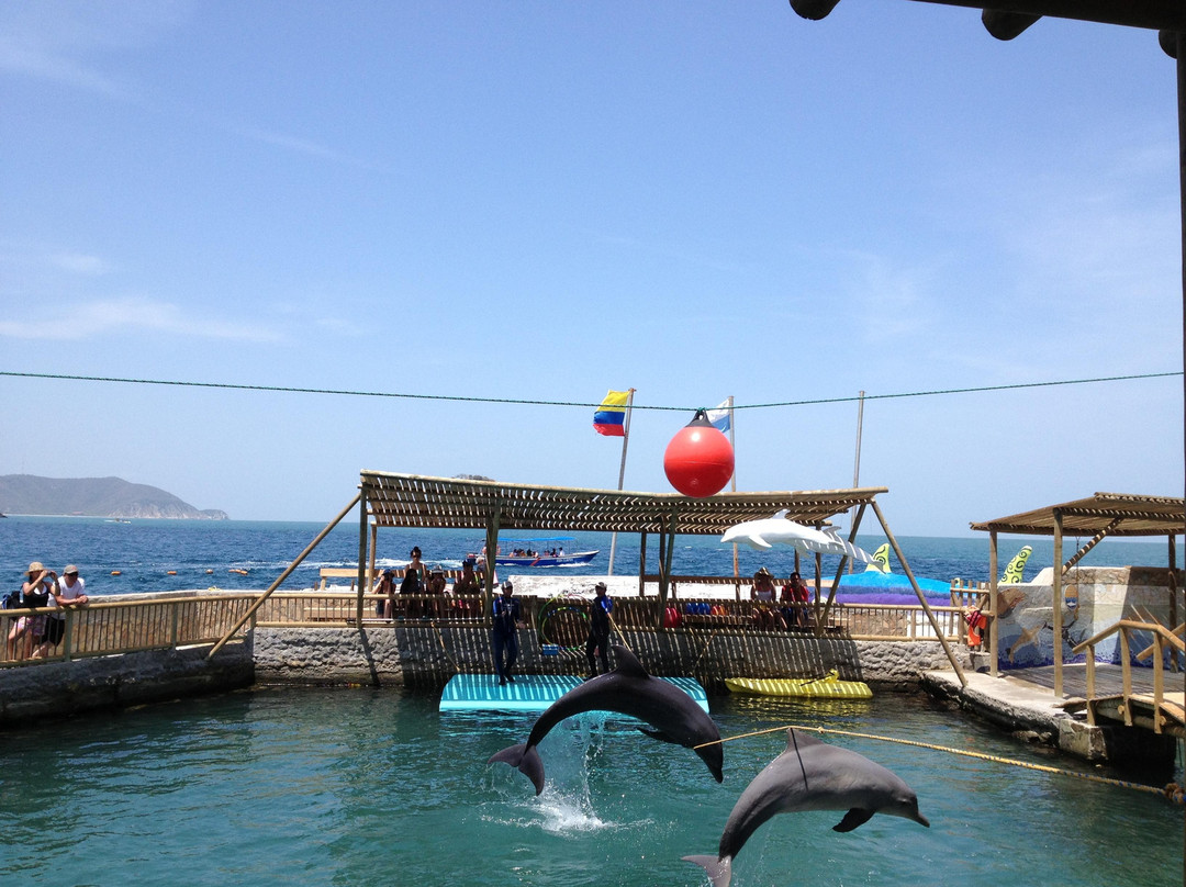 Rodadero Sea Aquarium and Museum-圣玛尔塔必去景点