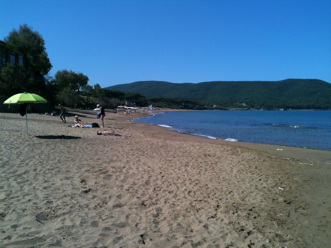 Spiaggia di Baratti景点图片