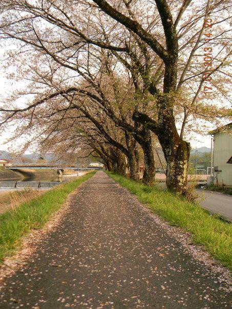 Michi-no-Eki - Hida Furukawa Alpes-飞弹市必去景点