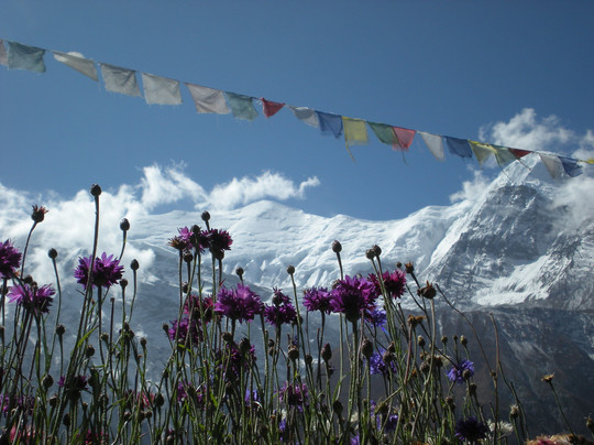 Himalayan Joy Adventure-加德满都必去景点