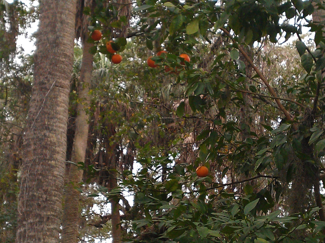 Kathryn Abbey Hanna Park-杰克逊维尔必去景点