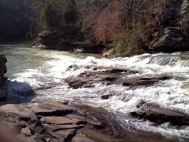 Turkey Creek Nature Preserve景点图片