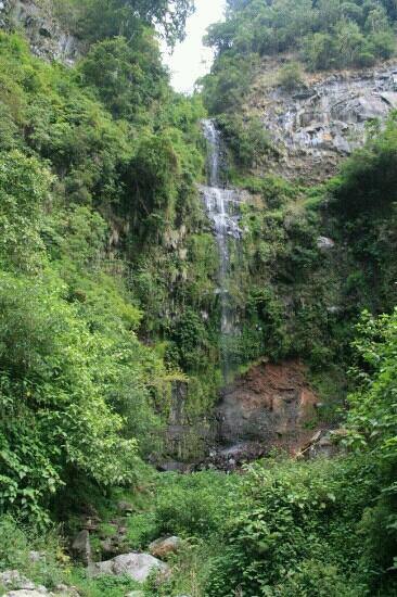 Boquete Custom Tours - Private Tours景点图片