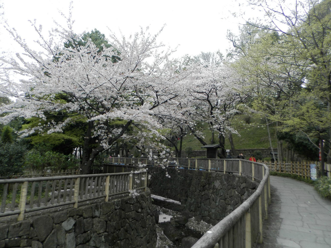 Otonashi Shinsui Park-北区必去景点