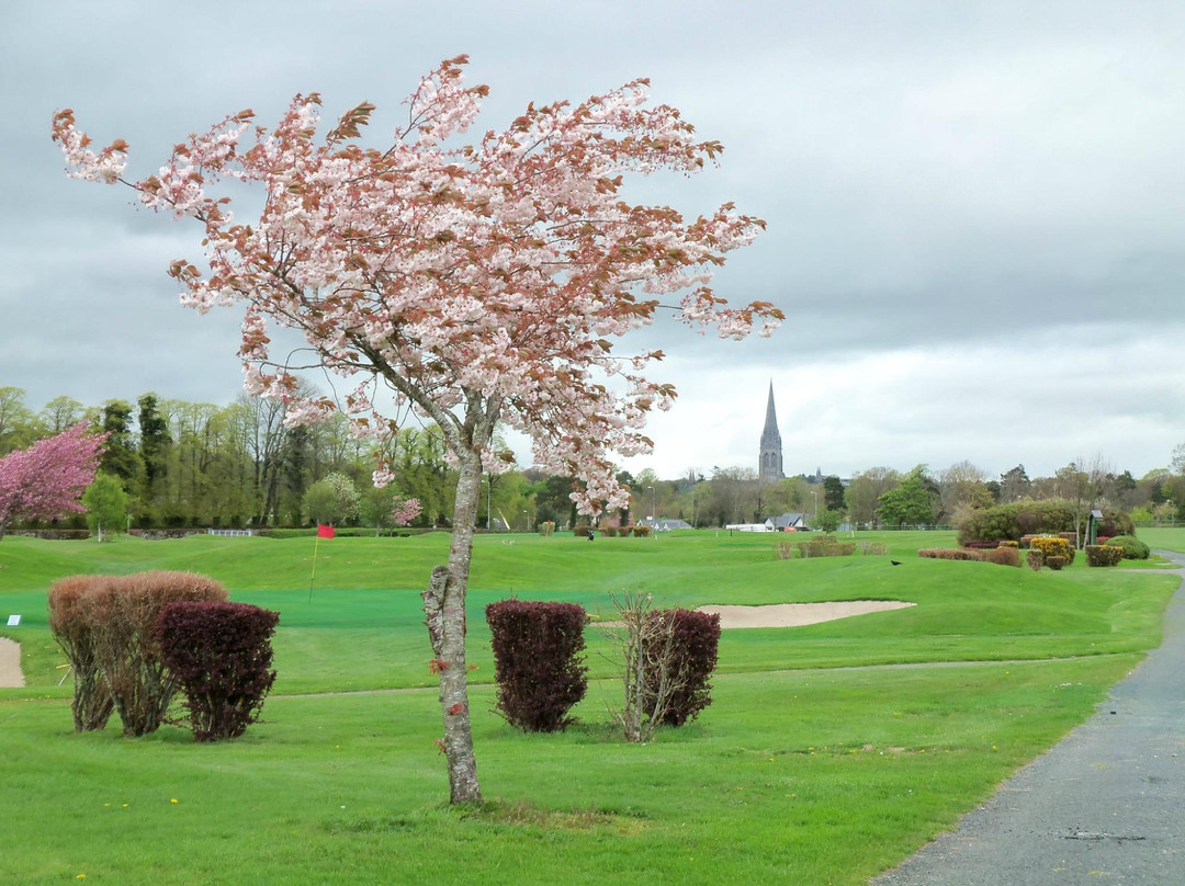 Ross Golf Course-基拉尼必去景点