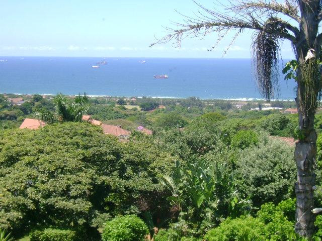 Rising Sun Guest House主图