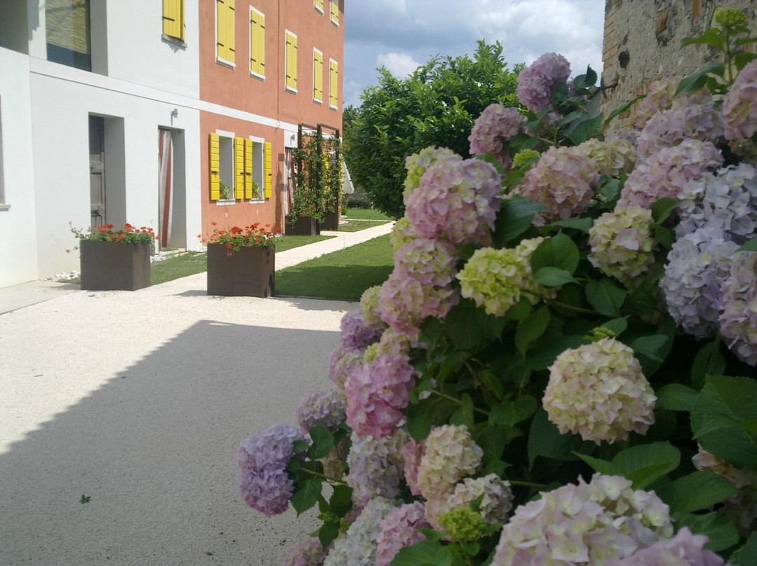 Pederobba酒店住宿-Terre di Bea B&B