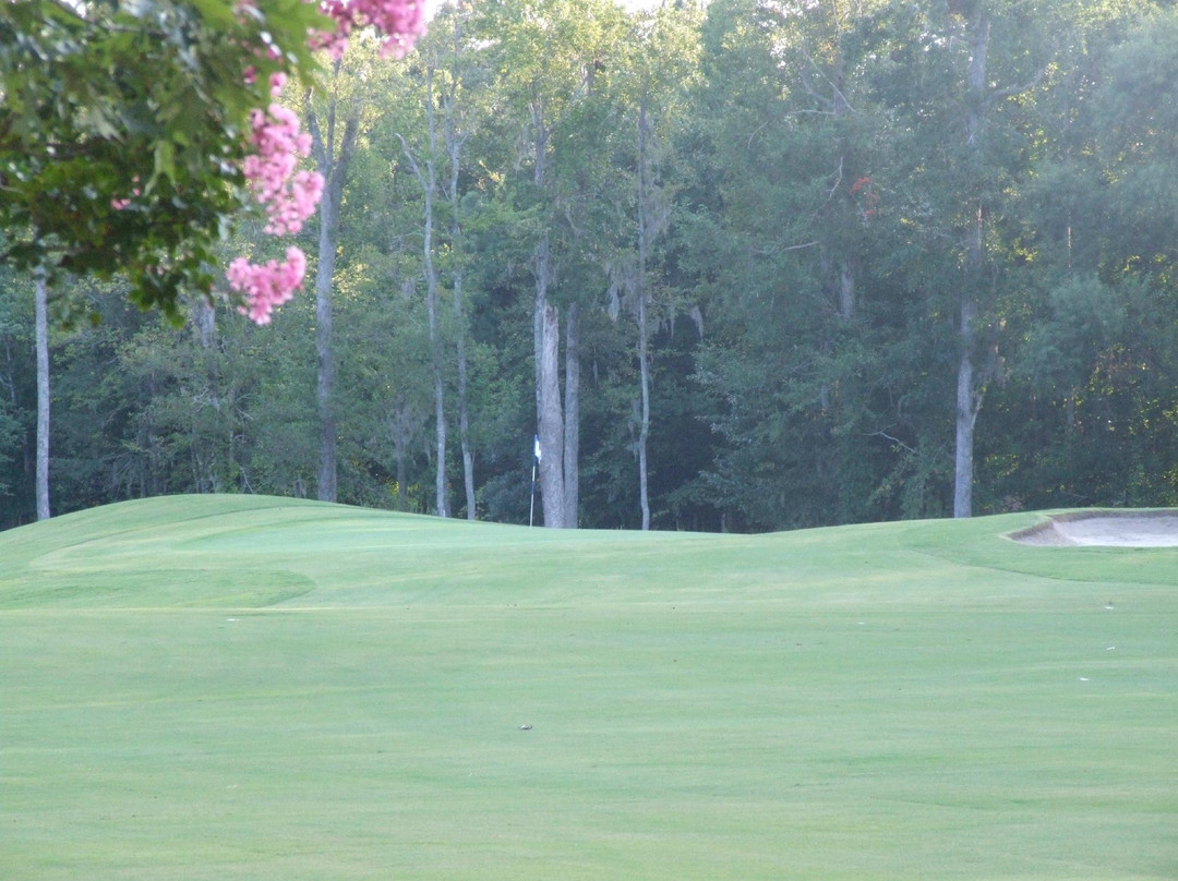 Sound Golf Links at Albemarle Plantation景点图片