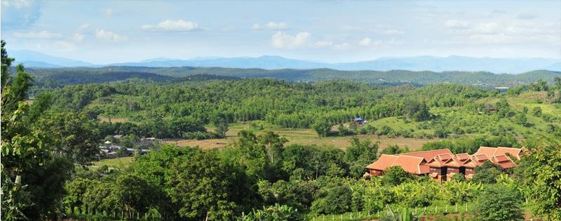 Fresh Start Fitness Yoga & Wellness Retreat Thailand-夜林必去景点