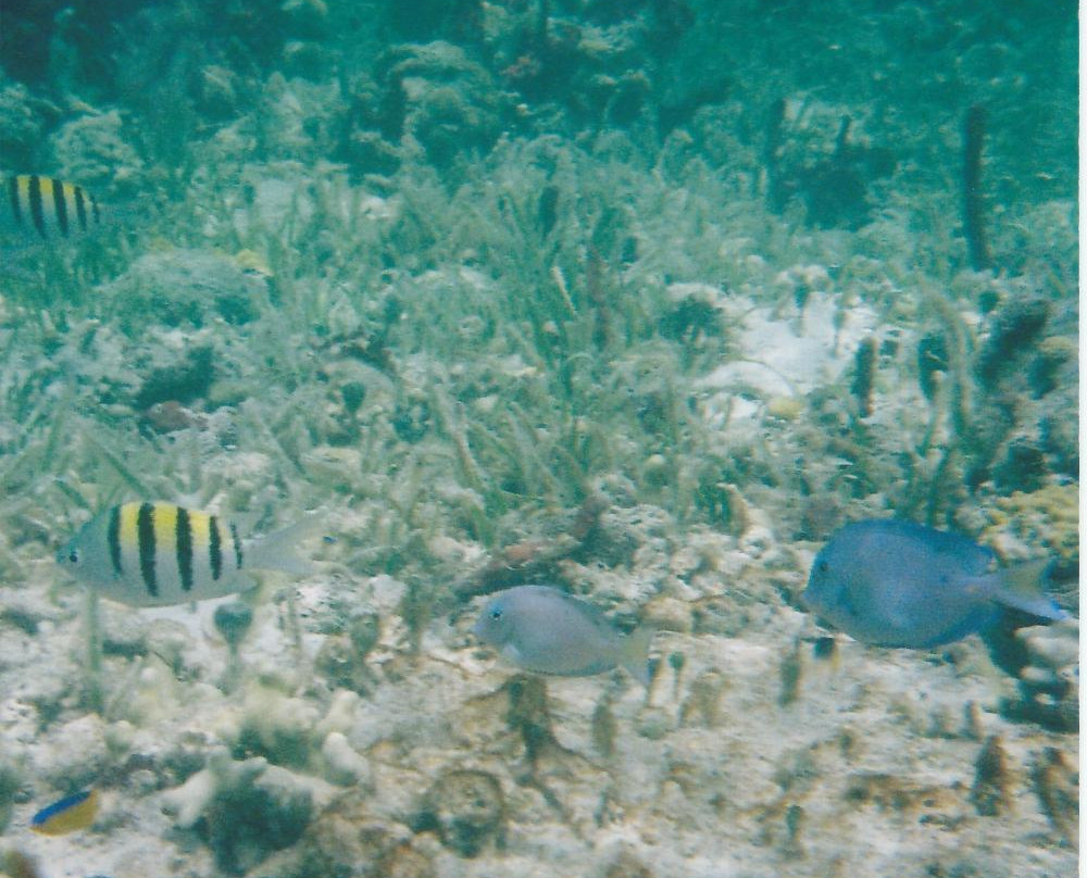 Cistern Cay Beach-伊柳塞拉必去景点