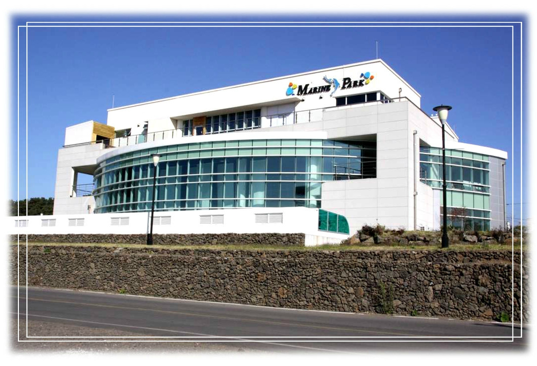 Jeju Olle Trail Routes-济州岛必去景点