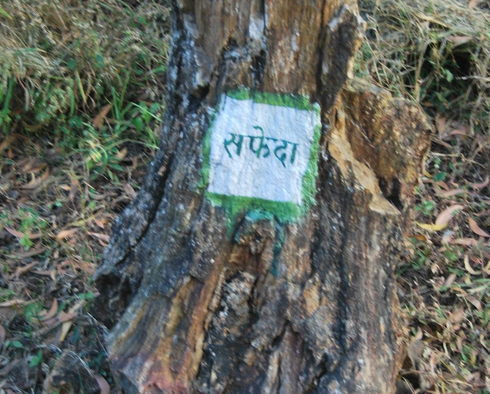 Ghughwa Fossil National Park-Dindori必去景点