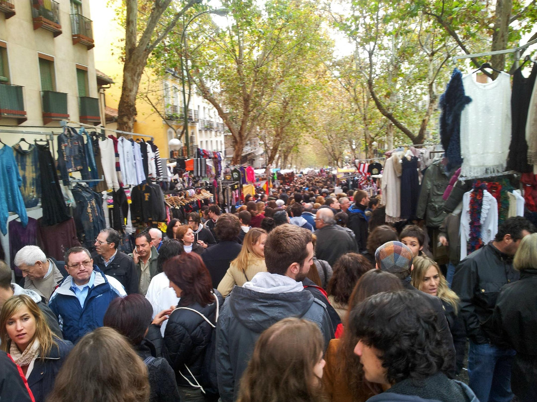 埃尔拉斯特洛跳蚤市场-马德里必去景点