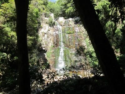 Minnamurra Falls景点图片