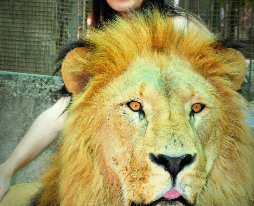 ZOO Lujan景点图片