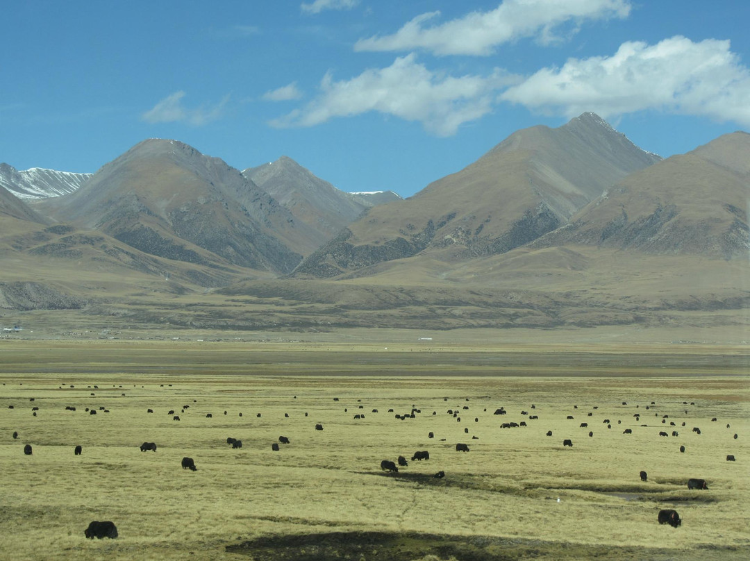 京藏铁路-拉萨市必去景点