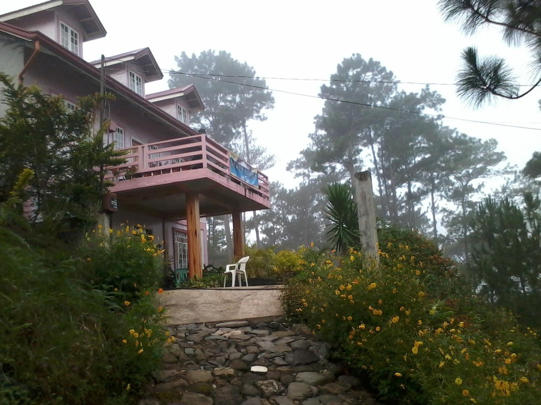 Misty Lodge and Cafe