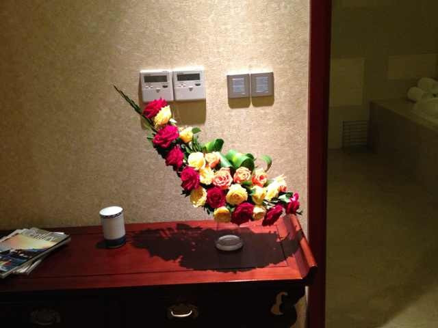 开元梅子湖温泉酒店主图