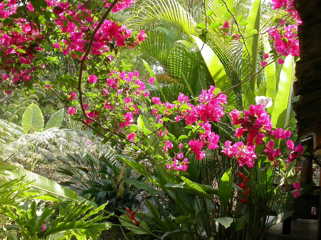 悠然台民宿主图