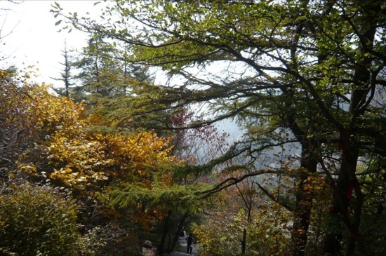 崂山北九水-青岛市必去景点