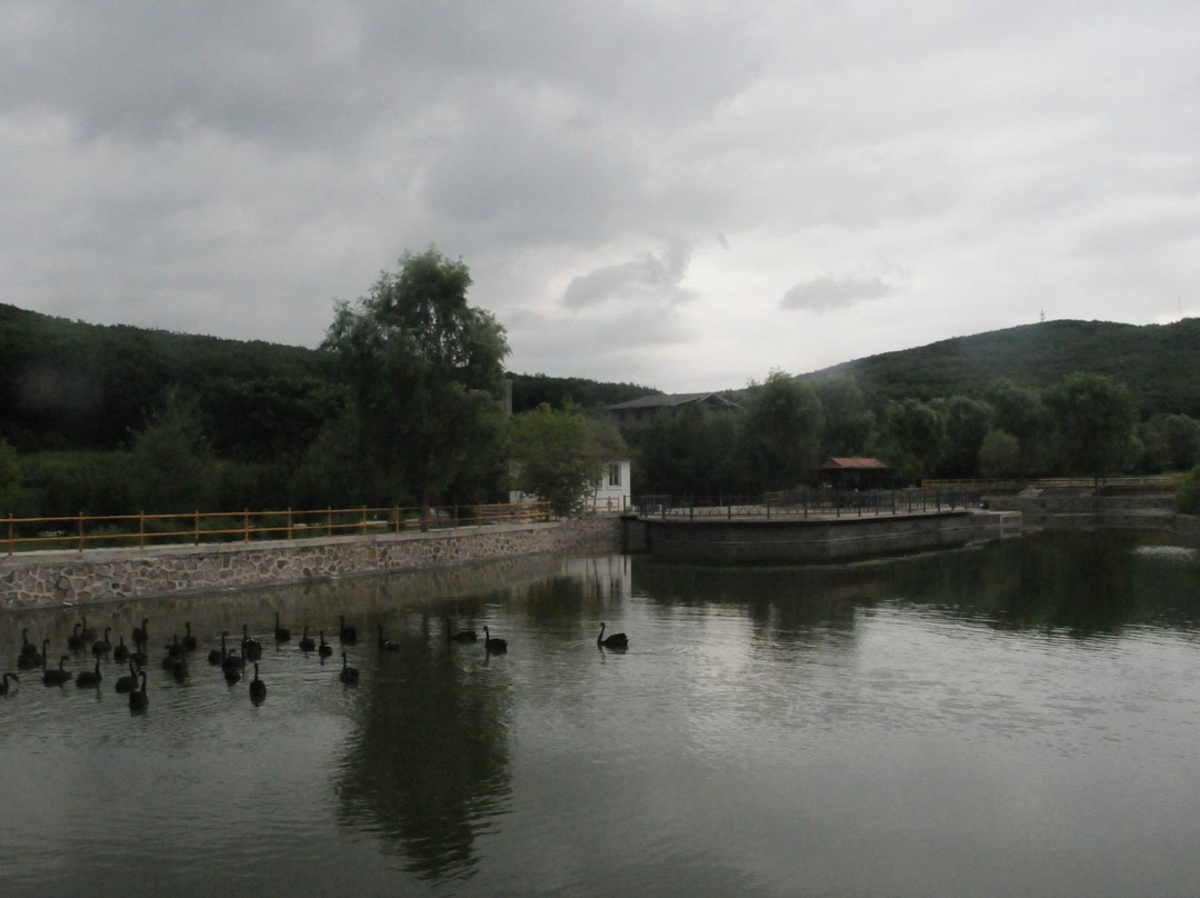 哈尔滨北方森林动物园-哈尔滨市必去景点