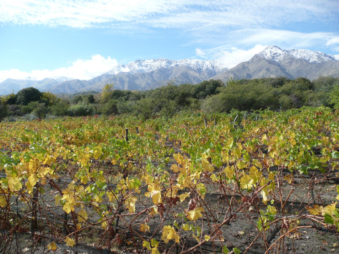 Las Jarillas Hostería & Bodega