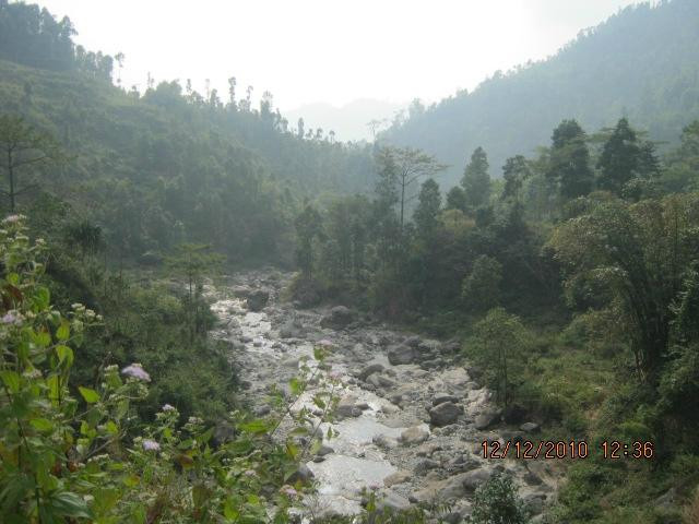 Dooars-Jalpaiguri必去景点