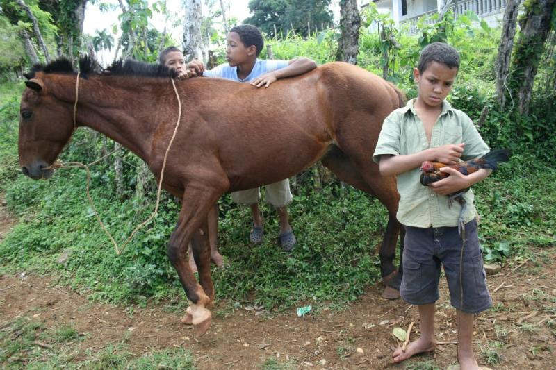 Brianda Jeep Safari Day Tours-Rio San Juan必去景点