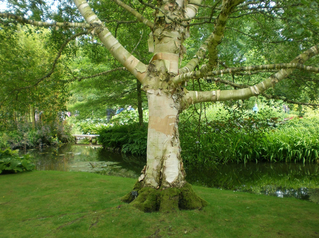 Longstock Water Gardens-Stockbridge必去景点