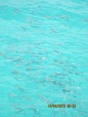 Derawan Archipelago景点图片