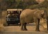 Tsavo Safaris Tours景点图片