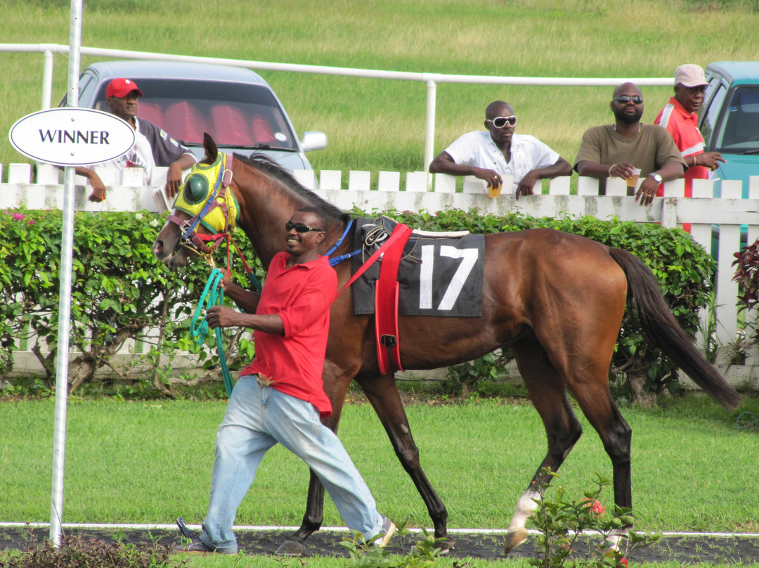 Barbados Turf Club-布里奇顿必去景点