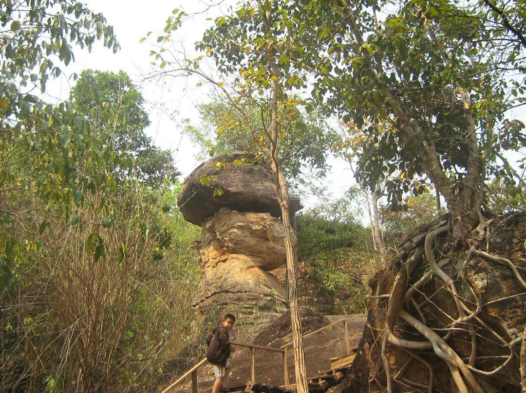 Phu Phra Bat Buabok Forest Park-万圃必去景点