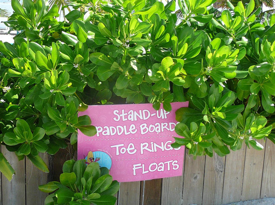 UnderToe Mexico SUP Adventures-Mahahual必去景点