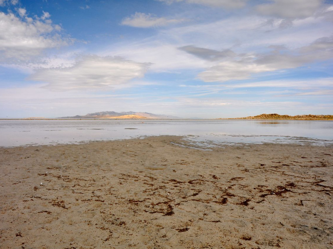 大盐湖州立公园-盐湖城必去景点